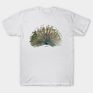 Peacock Digital Painting T-Shirt